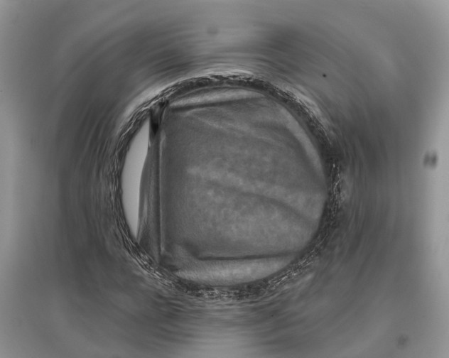X0000097290920200803071729