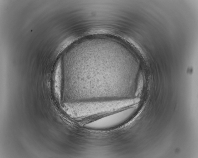 X0000097290921200803071729