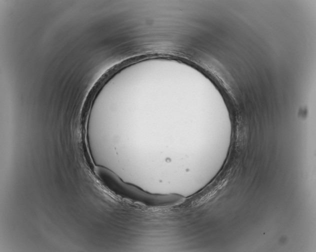 X0000097290924200803071729