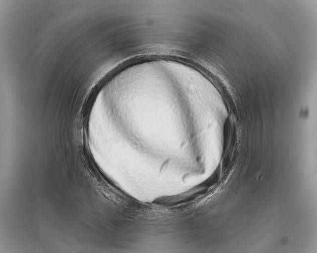 X0000097290925200803071729