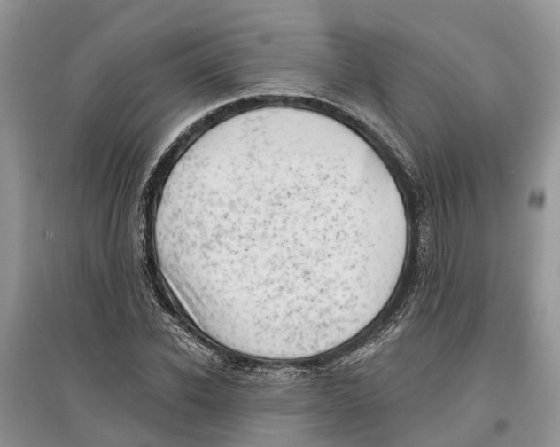 X0000097290926200803071729