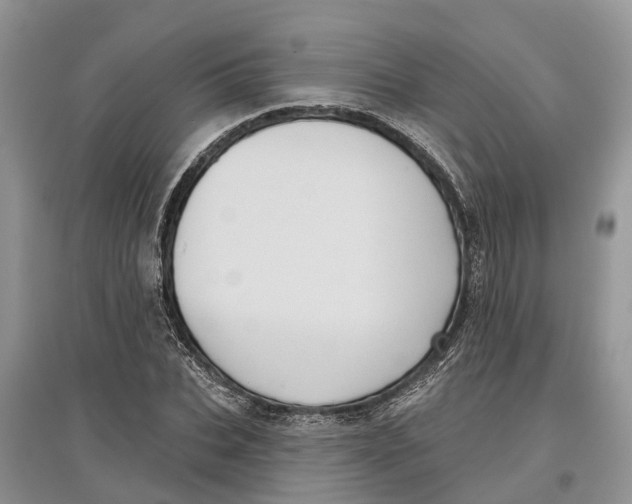 X0000097290927200803071729