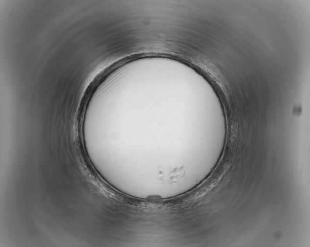 X0000097290928200803071729