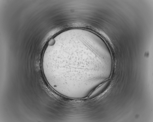 X0000097290930200803071729