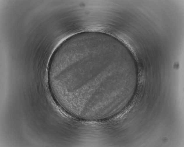 X0000097290932200803071729