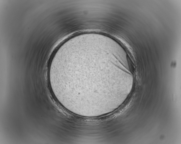 X0000097290933200803071729