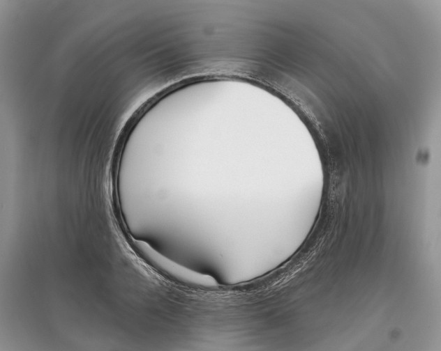 X0000097290936200803071729