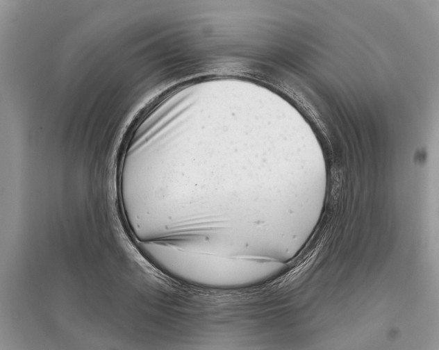 X0000097290939200803071729