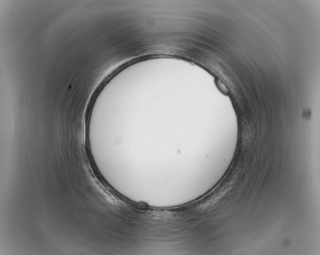 X0000097290940200803071729