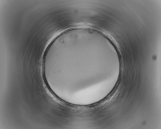 X0000097290941200803071729