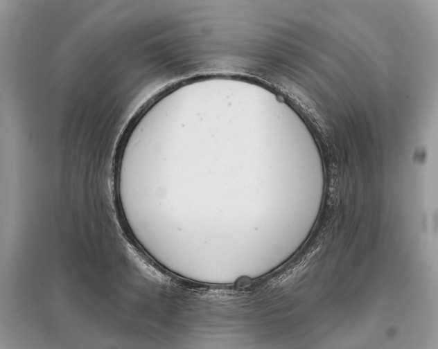 X0000097290942200803071729