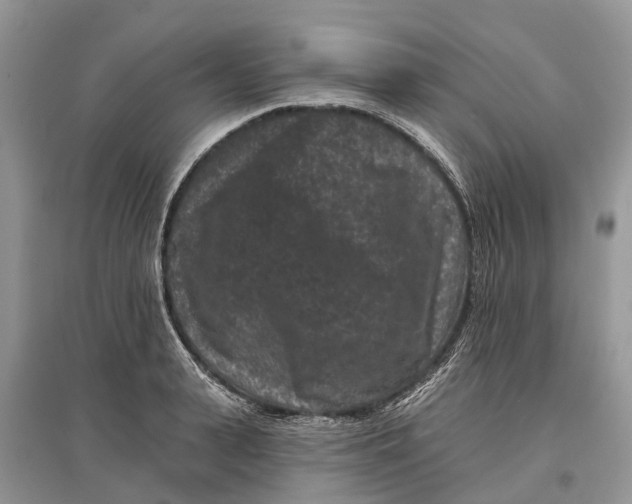 X0000097290943200803071729