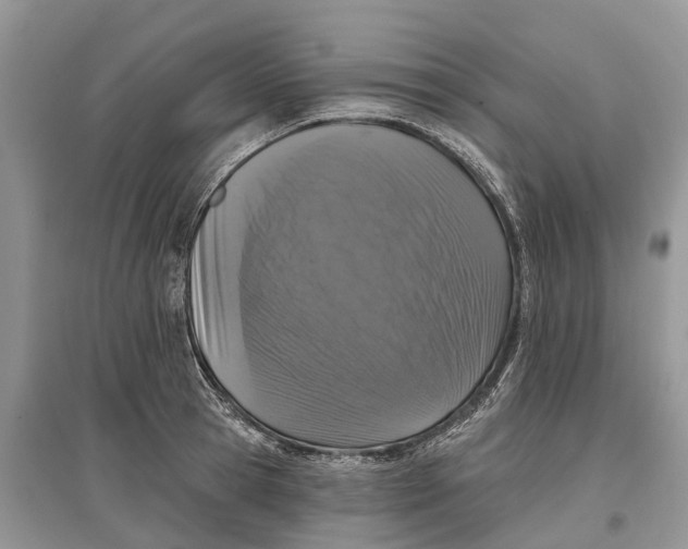 X0000097290945200803071729