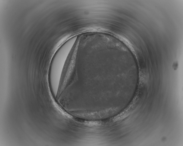 X0000097290946200803071729