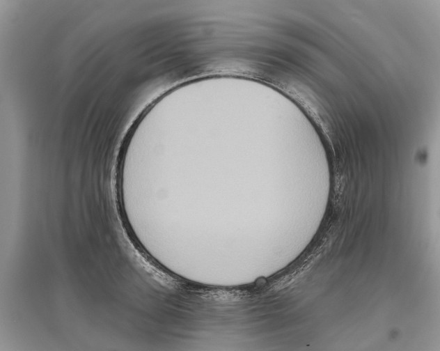 X0000097290947200803071729
