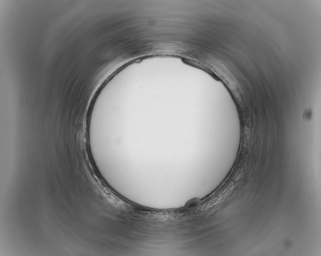 X0000097290948200803071729