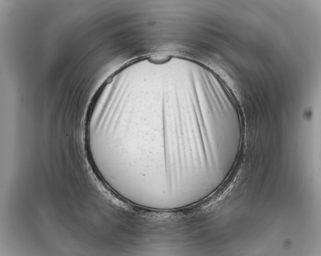 X0000097290949200803071729