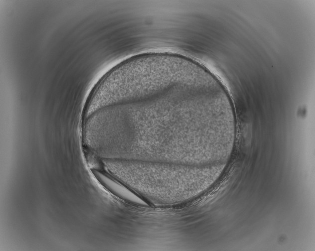 X0000097290951200803071729