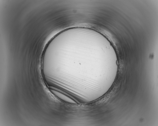 X0000097290952200803071729