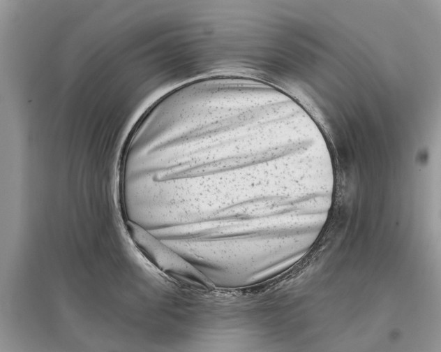 X0000097290955200803071729