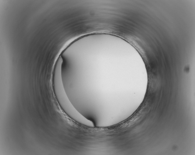 X0000097290956200803071729