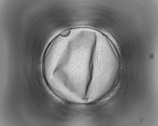 X0000097290957200803071729