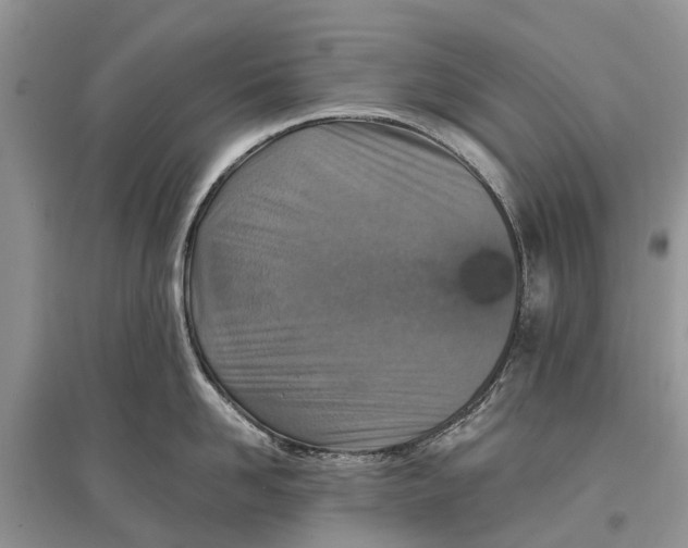 X0000097290958200803071729