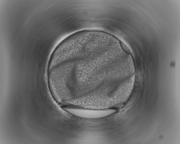 X0000097290959200803071729