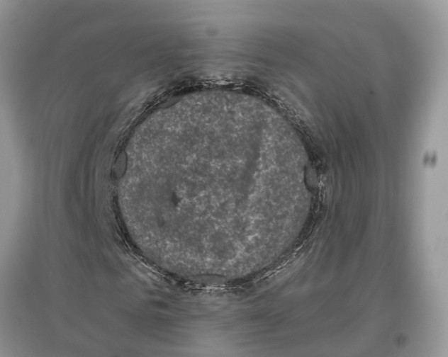 X0000097290961200803071729