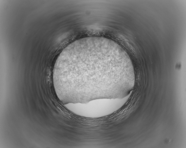 X0000097290964200803071729