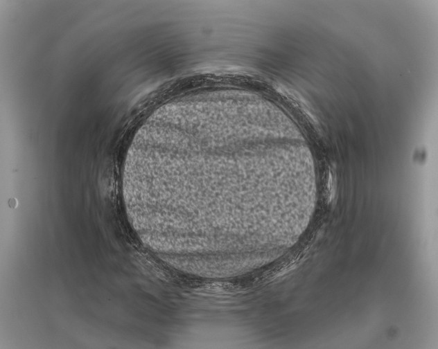 X0000097290966200803071729