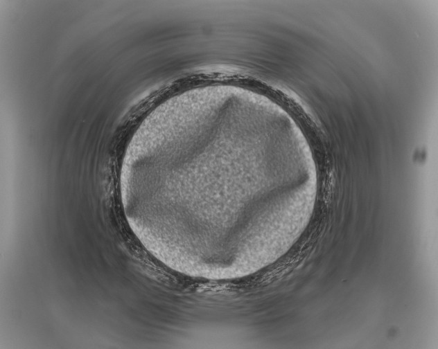 X0000097290967200803071729