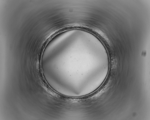 X0000097290969200803071729