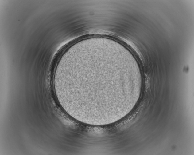 X0000097290971200803071729