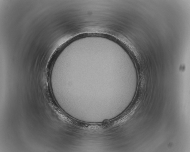 X0000097290974200803071729