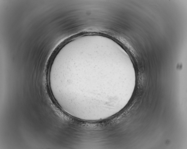 X0000097290976200803071729