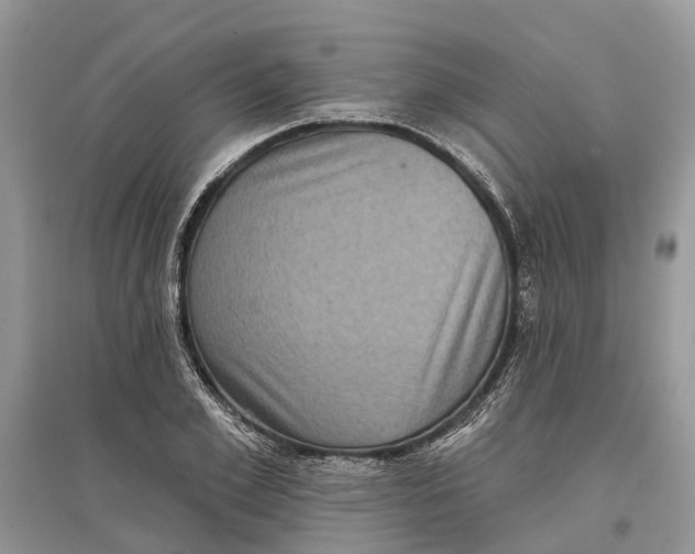 X0000097290981200803071728