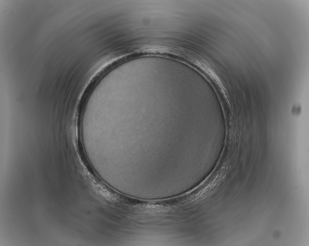 X0000097290984200803071728