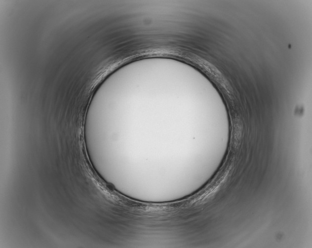 X0000097290985200803071728
