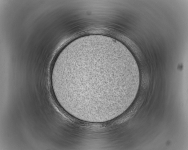 X0000097290986200803071728