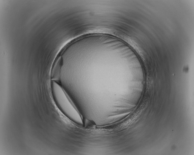 X0000097290988200803071728
