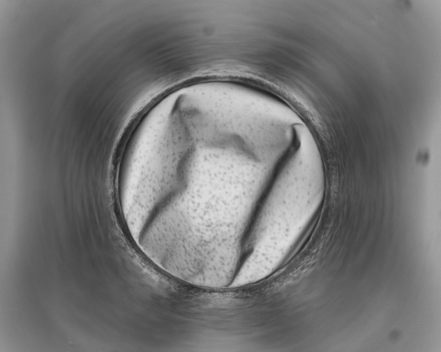 X0000097290990200803071728