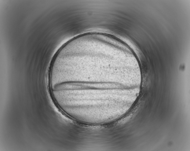 X0000097290999200803071728