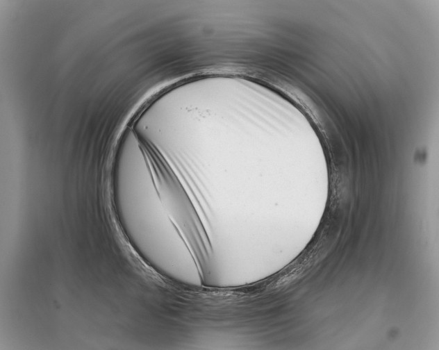 X0000097291000200803071728