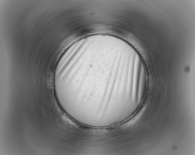 X0000097291001200803071728