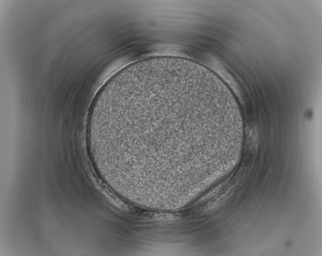 X0000097291002200803071728