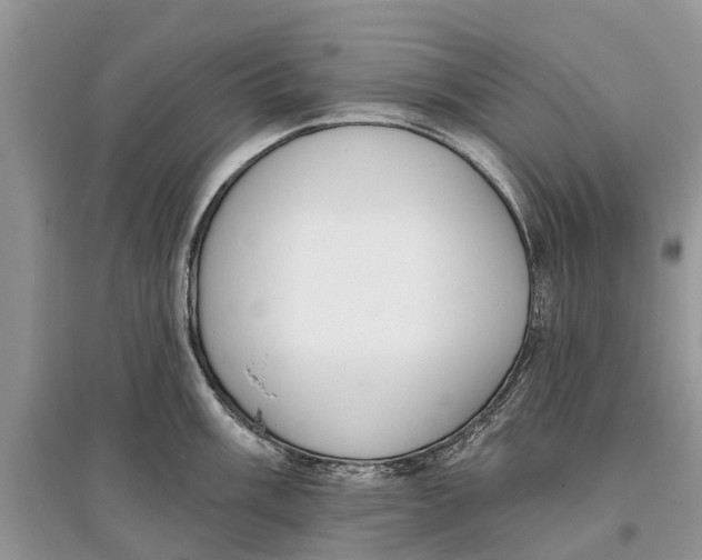 X0000097291003200803071728