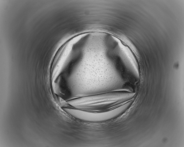 X0000097291004200803071728