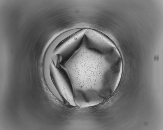 X0000097291008200803071728