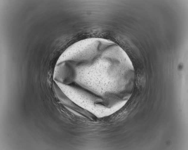 X0000097291010200803071727